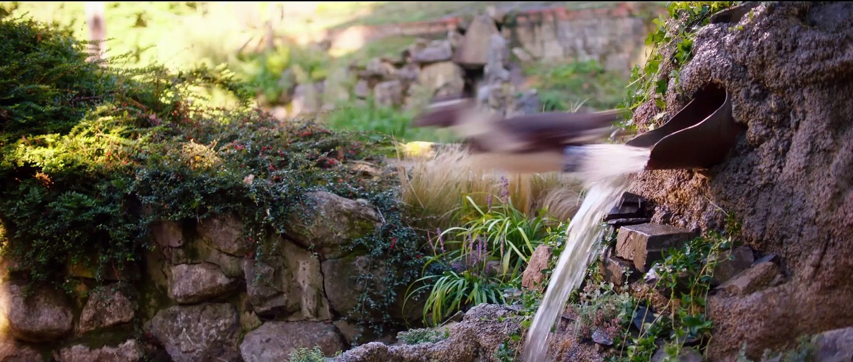 Die chaosschwestern und pinguin paul film