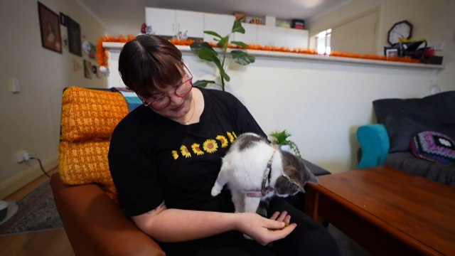 South Australia's rental reforms give tenants right to own pets and bans 'no cause' eviction