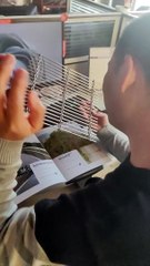 i am back with our new design wire mesh screen