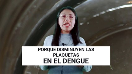 ▷ DENGUE vs. PLAQUETAS: PORQUE SE DESPLOMAN? | Dra. Mary Uscamayta
