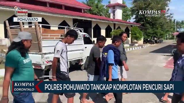 Polres Pohuwato Tangkap Komplotan Pencuri Sapi