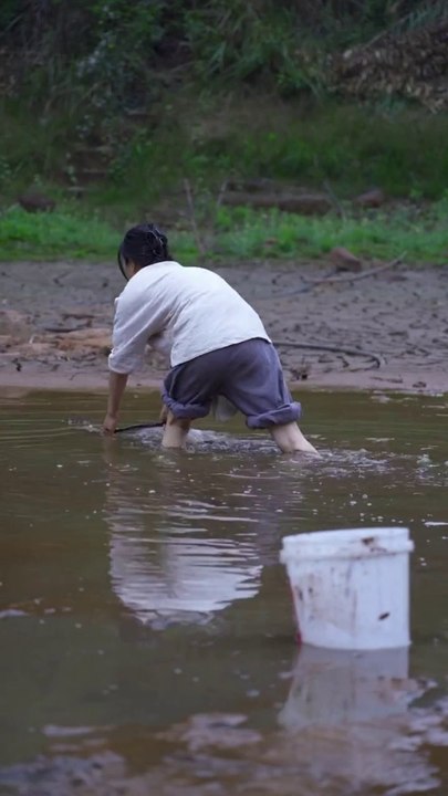 Fish is a food obtained from nature which is very valuable for our life which we cook and eat, Fish Cooking.