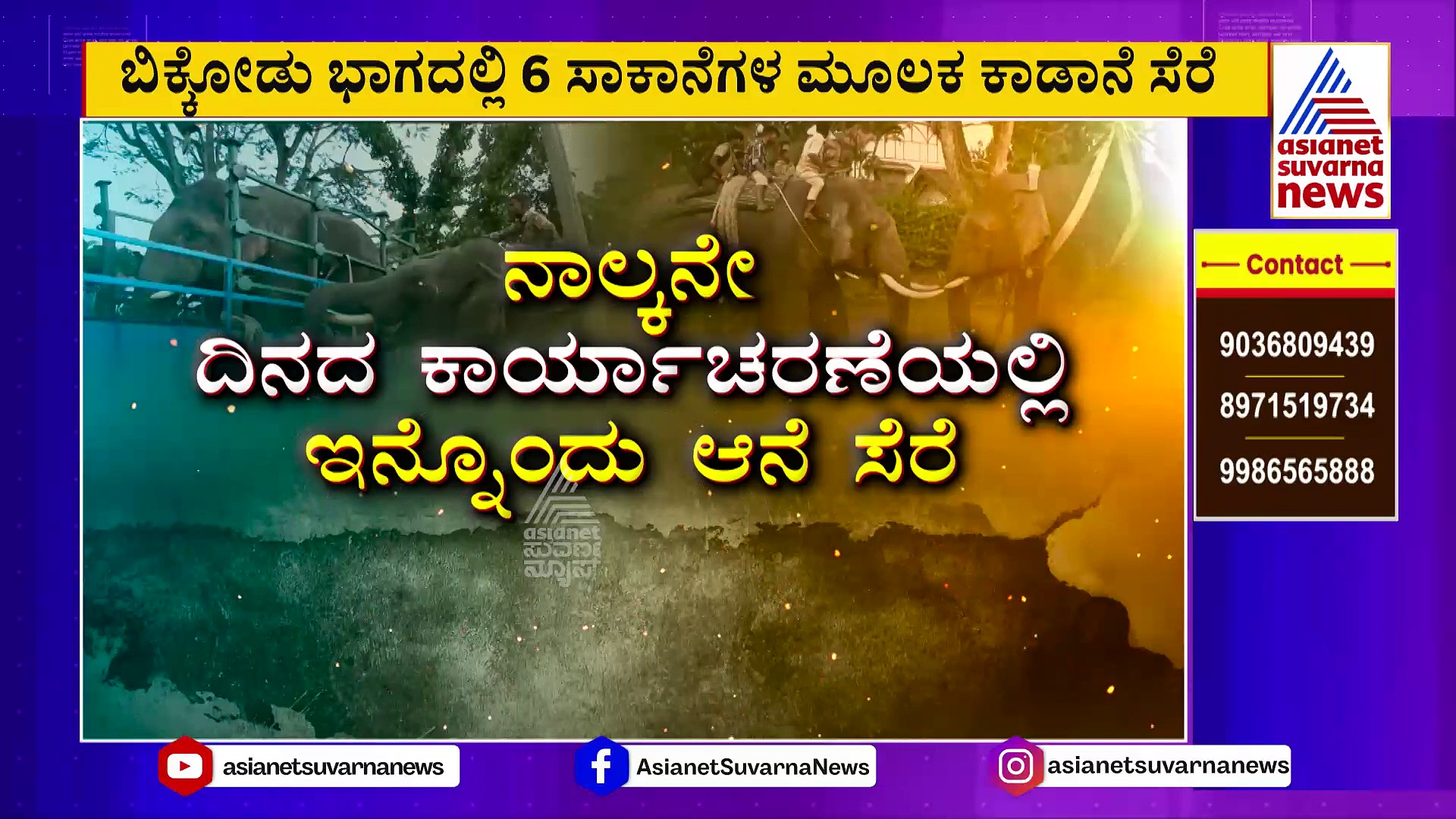 ಹಾಸನದಲ್ಲಿ ನಾಡಿಗೆ ಲಗ್ಗೆಯಿಟ್ಟ ಕಾಡಾನೆಗಳ ಕಾರ್ಯಾಚರಣೆ: 4ನೇ ದಿನ ಇನ್ನೊಂದು ಆನೆ ಸೆರೆ !