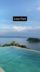 symbiotic relationship | platonic relationship | open relationship | long distance relationship | relationship attachment styles | relationship advice