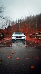 Another Robotic Moves at the M4 