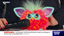 Furby, Tamagotchi, SOS Ouistiti... Pour Noël, les jouets des années 1990 reviennent en force