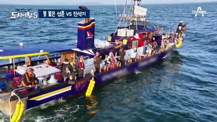 [#도시어부5] 기억해 도발은 짧고 굵게☆ 히트하자마자 진석기에게 바로 복수하는 대견이 #성훈 #낚시