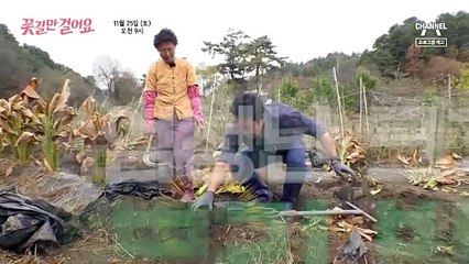 [예고] 땅 속의 황금을 찾아라?! 원래 농부가 아니었던 주인공이 경력 5년 차 농사꾼이 된 사연은?