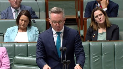 Chris Bowen warns extremes elevate national security risk