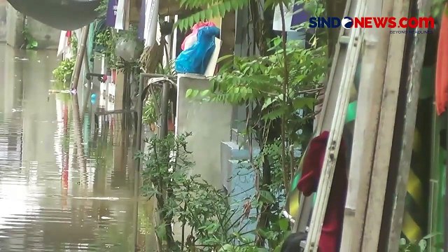 Pemukiman Warga Terendam Banjir, Warga Memilih Bertahan