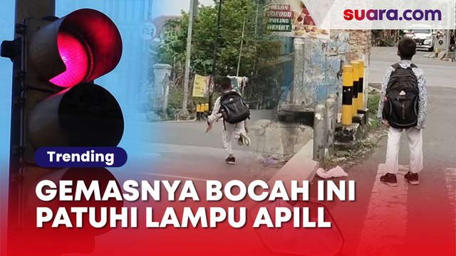 Gemas! Bocah Ini Tetap Patuhi Lampu Merah Walaupun Tak Berkendara
