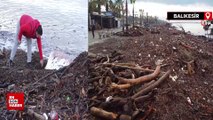 Balıkesir’de Altınkum sahili sel sonrası ağaç parçaları ve çöple doldu
