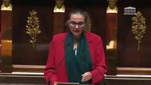 Une députée interrompt son discours à l'Assemblée pour demander à Elisabeth Borne de respecter la loi et d'arrêter de vapoter dans l'hémicycle: 