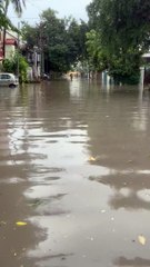 VIDEO: भारी बारिश के बाद स्टालिन ने नगर निगम नियंत्रण कक्ष में लोगों की शिकायत सुनी