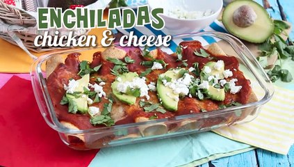 Chicken enchiladas with chili sauce