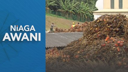 Harga minyak sawit mentah dijangka meningkat menjelang 2024