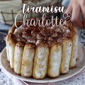 Tiramisu charlotte - tiramisu without eggs