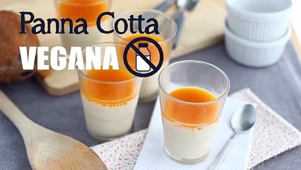 Panna cotta vegan sabor coco