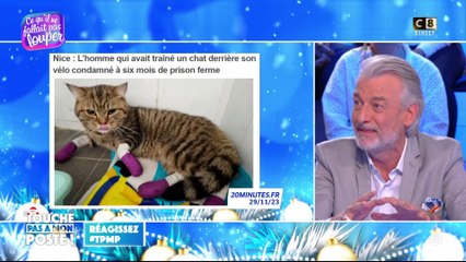 Un homme qui avait trainé un chat derrière son vélo condamné à 6 mois de prison ferme