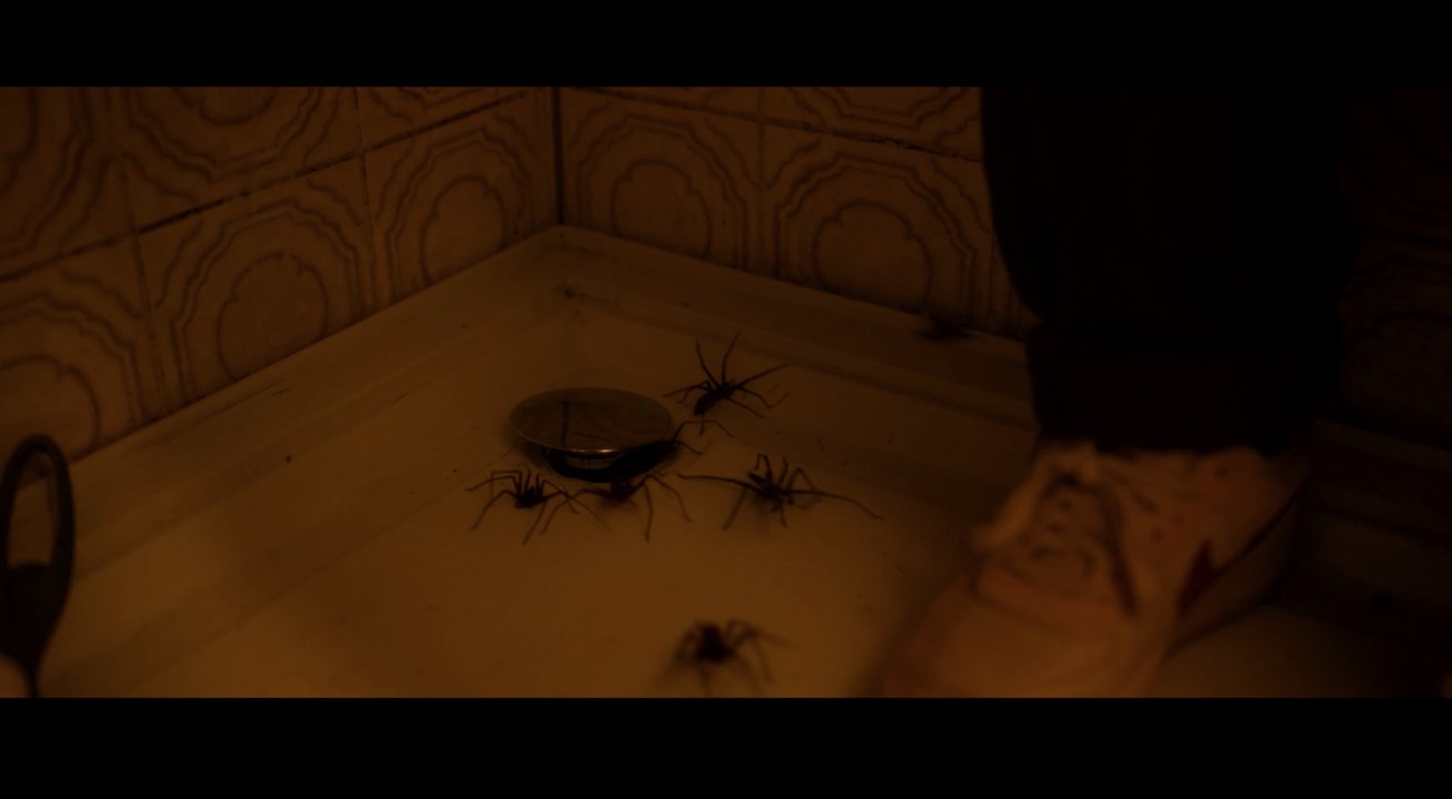 Vermines Bande Annonce 2