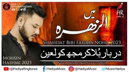 Main Zahra (sa) - Status | Mohsin Hashmi Noha Status 2024 | Bibi Fatima NOha 2024