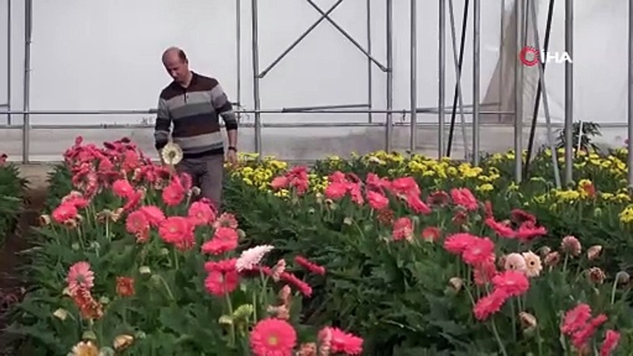 Bu renk cümbüşü ve mis koku, ayda 15 milyon kazandırıyor