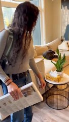 Surprising Family and Friends With a New Dachshund Puppy