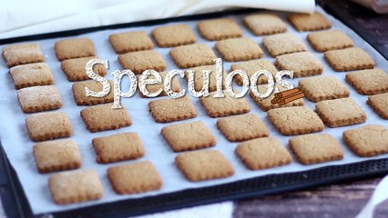 Speculoos fatti in casa