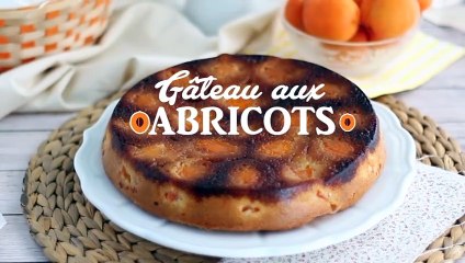 Bolo de damasco /alperce simples e caramelizado