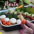 Horta de legumes com homus