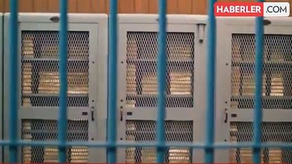 Merkez Bankası rezervleri tüm zamanların en yüksek seviyesinde! İşte kasadaki miktar