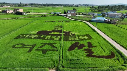 [경기] 여주시, '논그림 쌀 920kg' 이웃돕기 기탁 / YTN