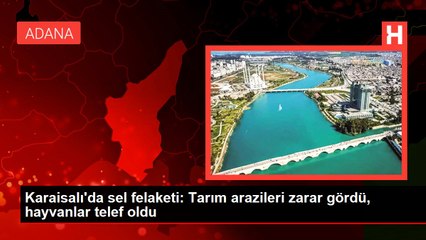 Karaisalı'da sel felaketi: Tarım arazileri zarar gördü, hayvanlar telef oldu