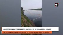 Aparecieron cientos de peces muertos en el embalse Río Hondo
