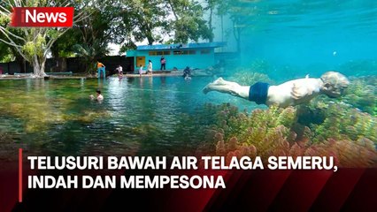 Pesona Bawah Air Telaga Semeru yang Memiliki Biota Air dan Ikan