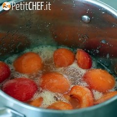 Confettura di albicocche fatta in casa