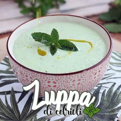 Zuppa fredda di cetrioli e menta