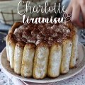 Charlotte de tiramisu sem ovos