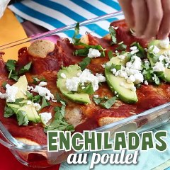 Enchiladas au poulet et sauce tomate piquante