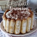 Charlotte façon tiramisu délicieuse et sans oeufs