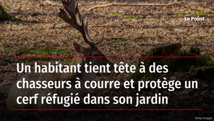 Un habitant tient tête à des chasseurs à courre et protège un cerf réfugié dans son jardin