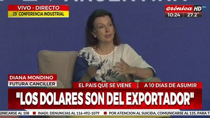 Diana Mondino: "Los dólares no son del Banco Central, son del exportador"