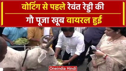 Telangana Election 2023: Revanth Reddy ने की गौ पूजा, Video वायरल | #shorts | वनइंडिया हिंदी