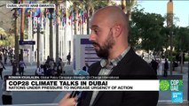 COP28 chief says 'role of fossil fuels' must be part of climate deal