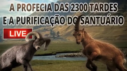 A PROFECIA DAS 2300 TARDES E A PURIFICAÇÃO DO SANTUÁRIO ｜ COM IRMÃO ROMILSON FERREIRA (LIVE)