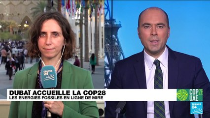 COP28 à Dubaï : mise en œuvre du fonds sur les "pertes et dommages" adoptée