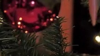 The spheres of a Christmas tree | Happy Cristmas 2023