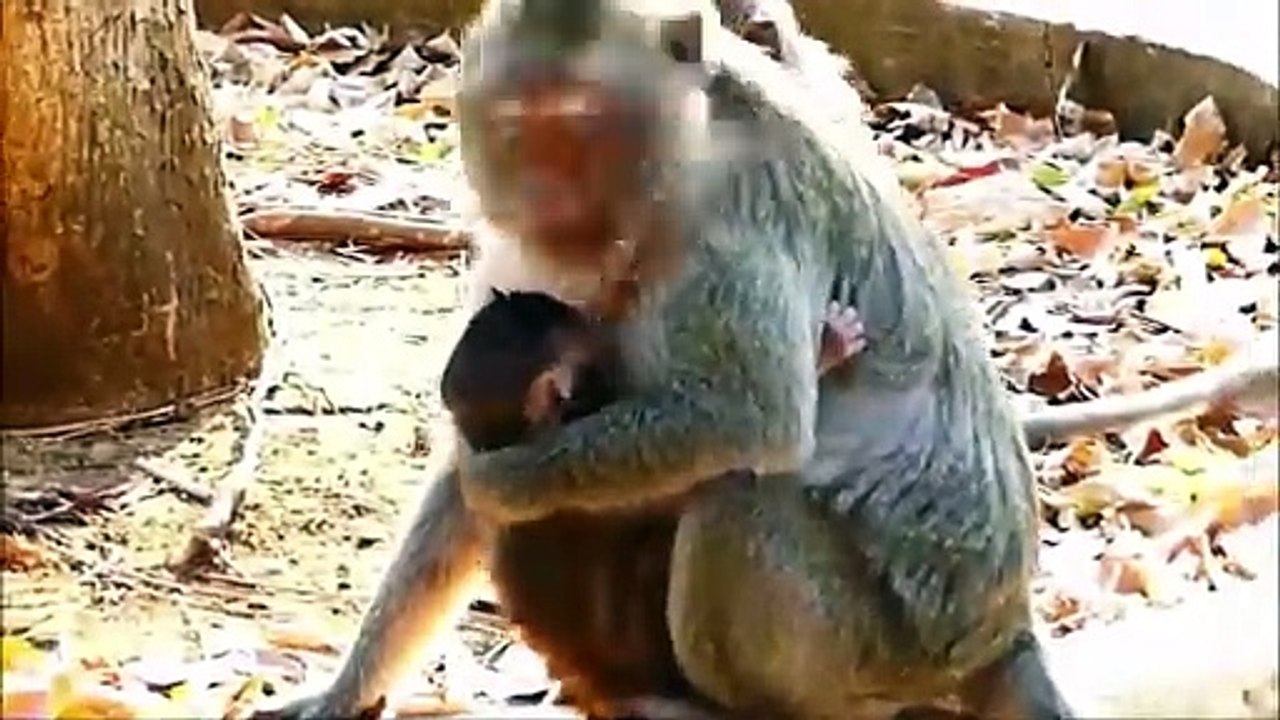 Huge sad baby, mother Emila strongly mistreat two babies, bother her baby, Charlina's baby (720p_25fps_H264-192kbit_AAC)