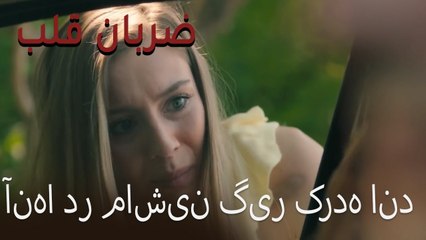 آنها در ماشین گیر کرده اند - (Zarabane Ghalb) ضربان قلب قسمت