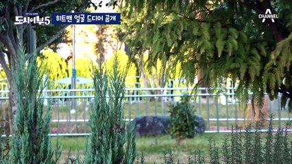 [#도시어부5] 작년에 왔던 히트맨 죽지도 않고 또 왔다? 히트맨이 1년 동안 정체를 밝히지 않은 이유!